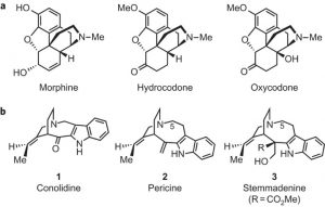 Opioid non-narcotic analgesics Opioid 