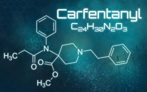 Carfentanil